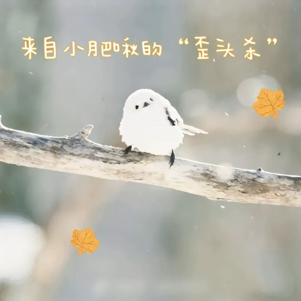뱁새 인형 참새 뱁이 강아지 새인형 꼬리 흰머리 동물 A. 1 작은 뚱뚱한 병아리 인형 - 상세 이미지 5