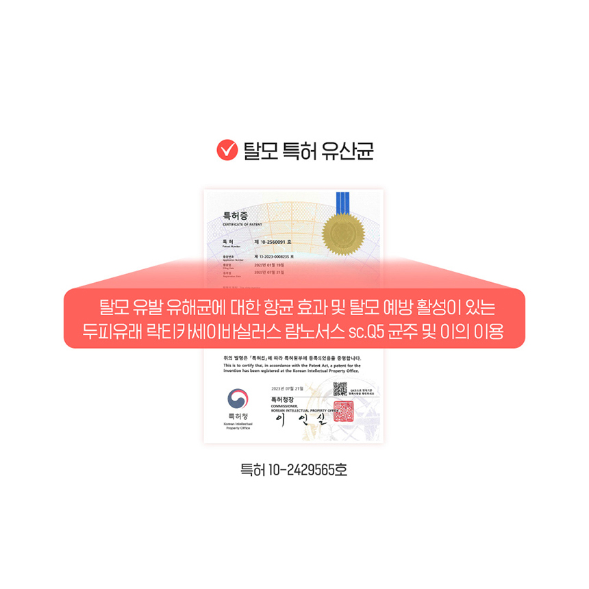 이탈리아산 아누카사과 비오틴 추출 분말 HACCP 30포, 1개 - 상세 이미지 5