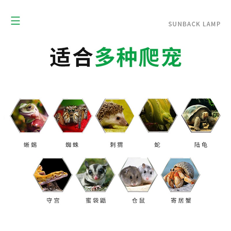 도마뱀 사육장 파충류 뱀 청소 온도조절 대형 투명 - 상세 이미지 5