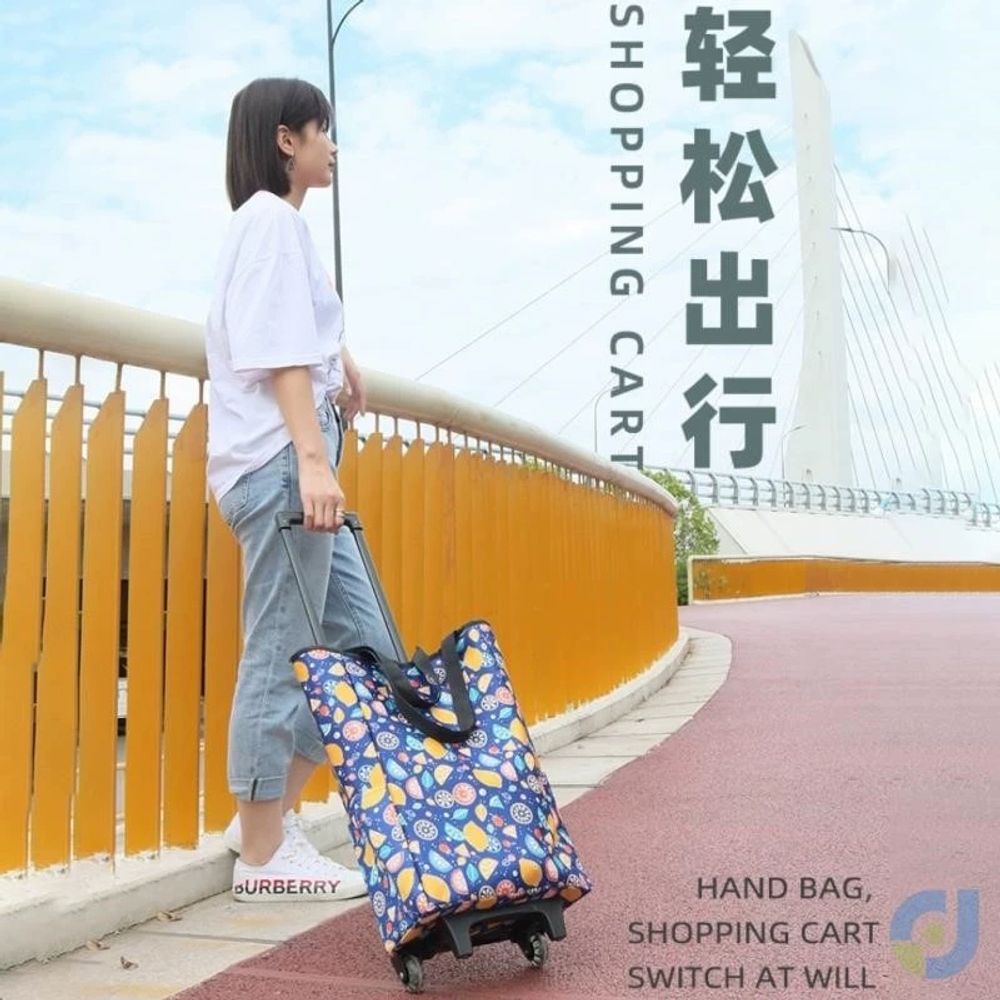 시장바구니카트 접이식장바구니 쇼핑카트 시장가 A. 0 최종 등급의 신선한 키핑 모델 사이드 - 상세 이미지 2