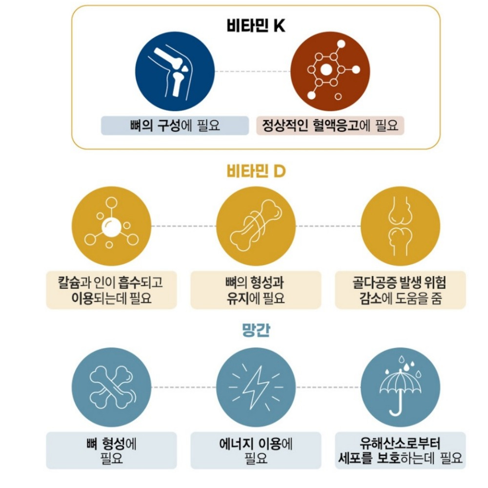 관절 연골에존 소연골 무코다당 단백 콘드로이친 1500 플러스 곤드로이친 120정, 2개 - 상세 이미지 5