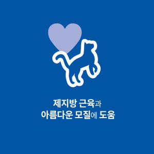 힐스 고양이사료 어덜트 10kg 대용량 솔직 후기 | 실제 사용자 리뷰 총정리 - 상품 이미지 2
