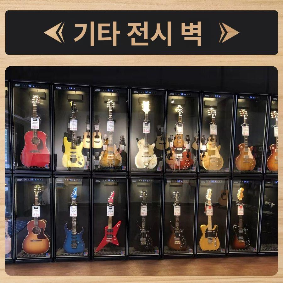 기타 쇼케이스 보관함 제습 습도조절 C01 단일 제습 130리터 - 상세 이미지 5
