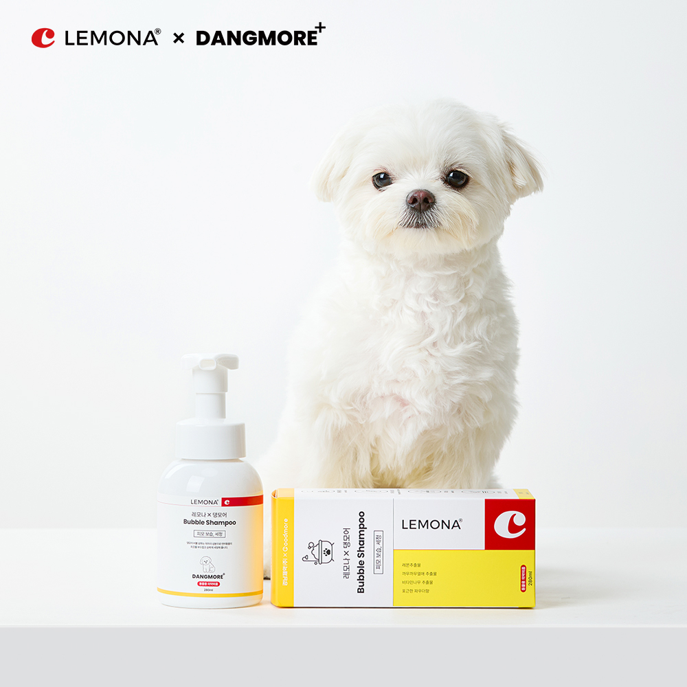 레모나 댕모어 강아지 워터리스 샴푸 산책 후 거품 발비누 280ml, 2개 - 상세 이미지 2