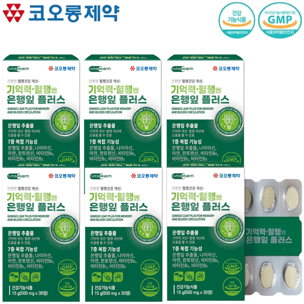코오롱제약 기억력 혈행 징코 은행잎 추출물 30정 6박스 6개월 나이아신 판토텐산 비타민B - 메인 이미지