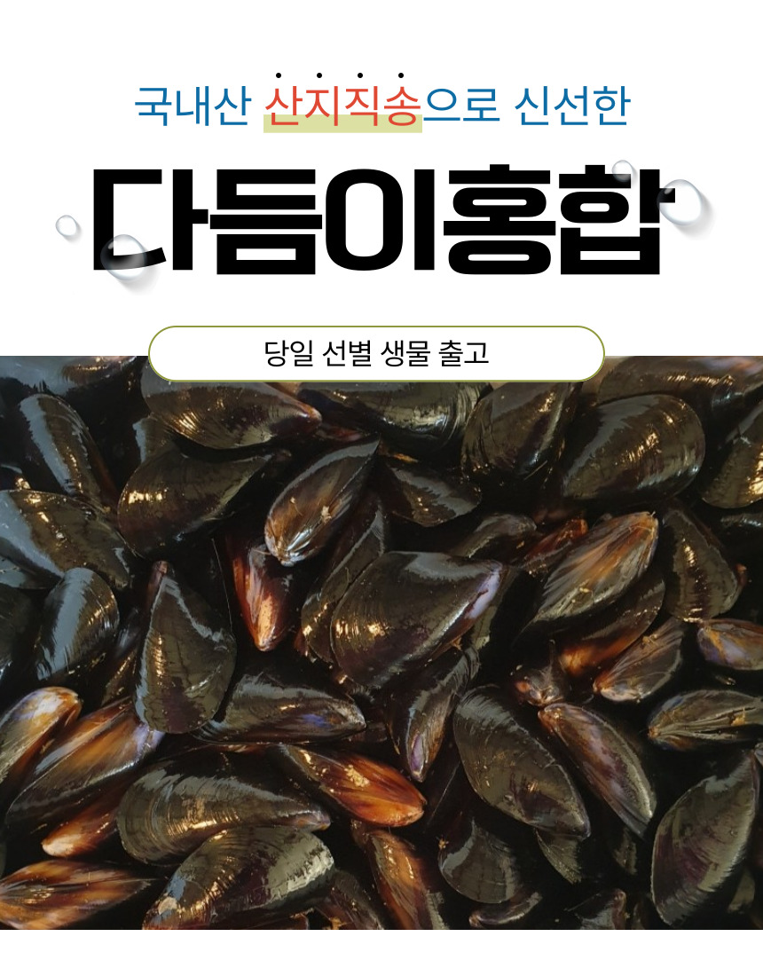 국산 여수 고흥 통영 다듬이 홍합 2kg, 4kg - 상세 이미지 2