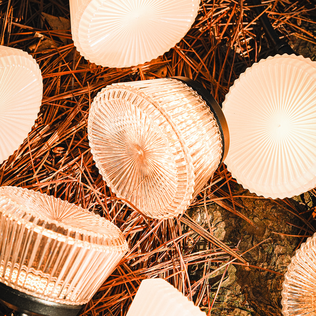 카고컨테이너 샤인 스트링 라이트 7 캠핑 파티 감성 전구 차박 LED 줄 조명 오징어등