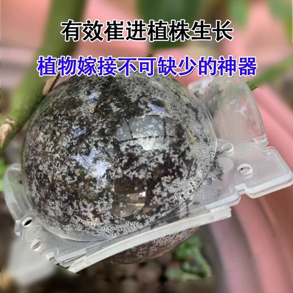 취목볼 루팅볼 배양 다른사이즈 식물 루팅팟 A. 뿌리 분말 1 팩에 대한 5 개의 투명한 - 상세 이미지 4