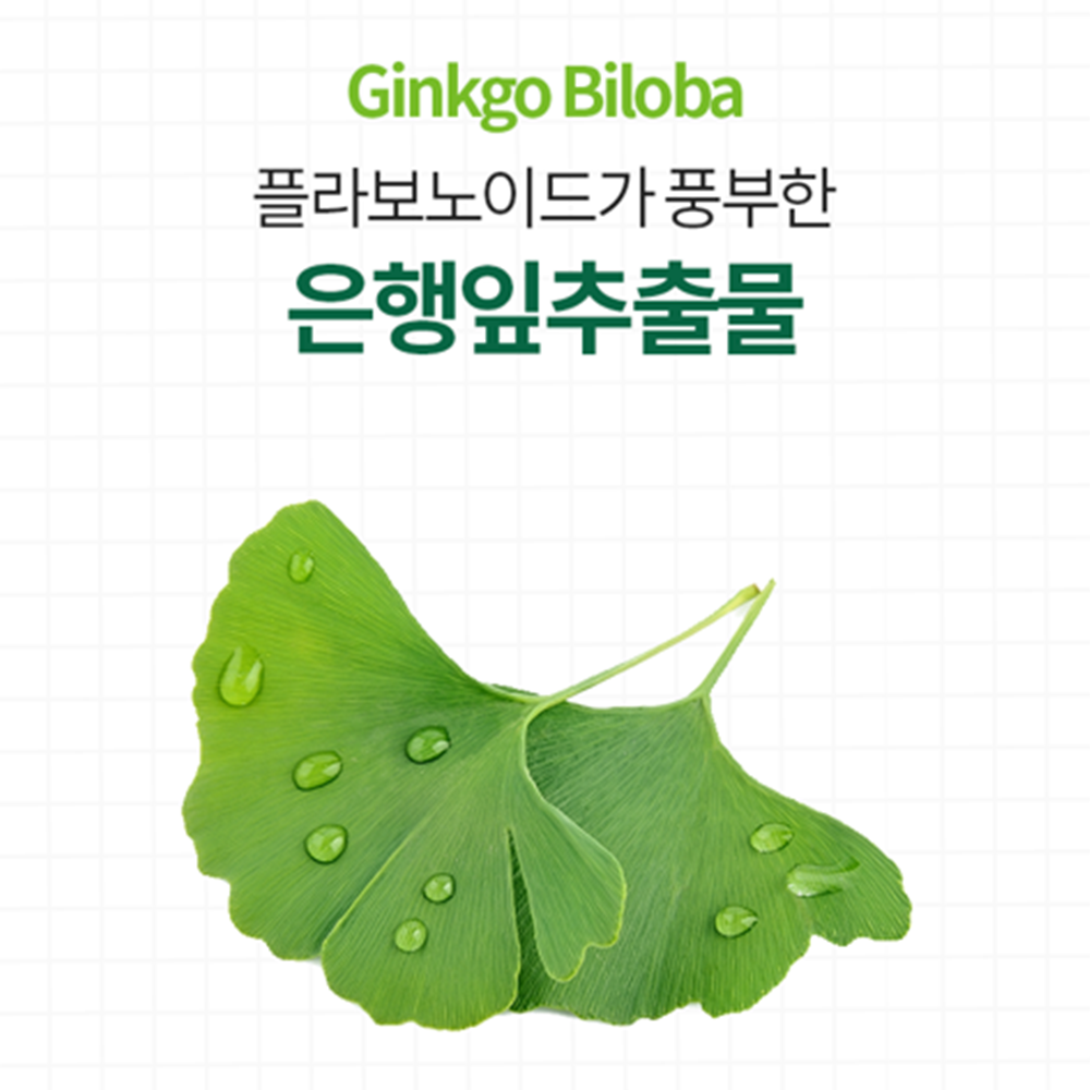 코오롱제약 기억력 혈행 징코 은행잎 추출물 30정 3박스 3개월 나이아신 판토텐산 비타민B - 상세 이미지 4