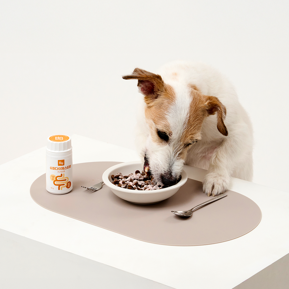 [강아지의날] 케어사이드 모두 슈퍼다이제스티브 췌장 소화 보조제 제품 이미지