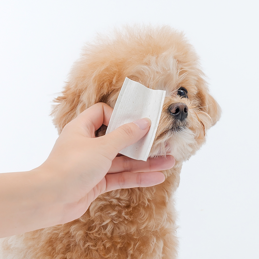 [고양이의 날] 페토세라 강아지 고양이 눈물자국 제거 저자극 눈세정제 세트 이미지 6