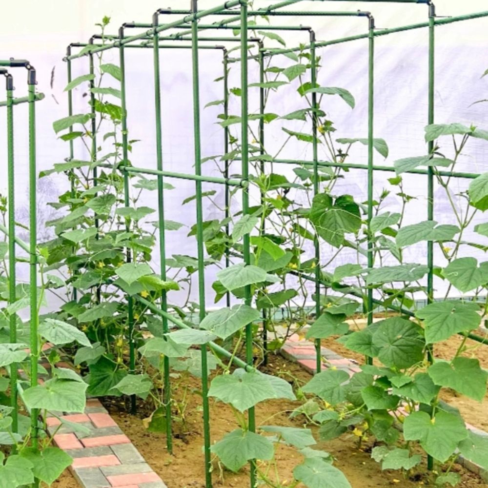 조립식파이프 철사 지지대 A. 11 지름 길이 75x 너비 60x 높이, A. 매우 큽니다 - 상세 이미지 2