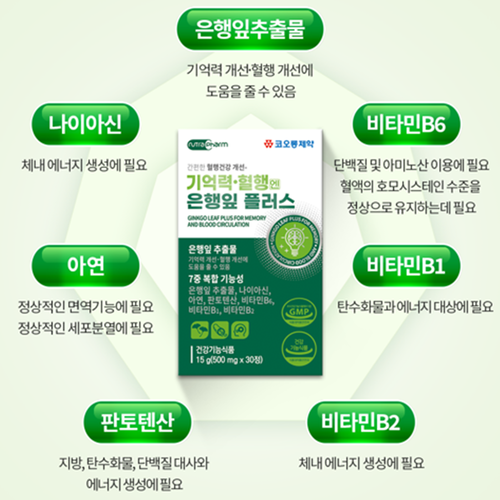 코오롱제약 기억력 혈행 징코 은행잎 추출물 30정 2박스 2개월 나이아신 판토텐산 비타민B - 상세 이미지 3