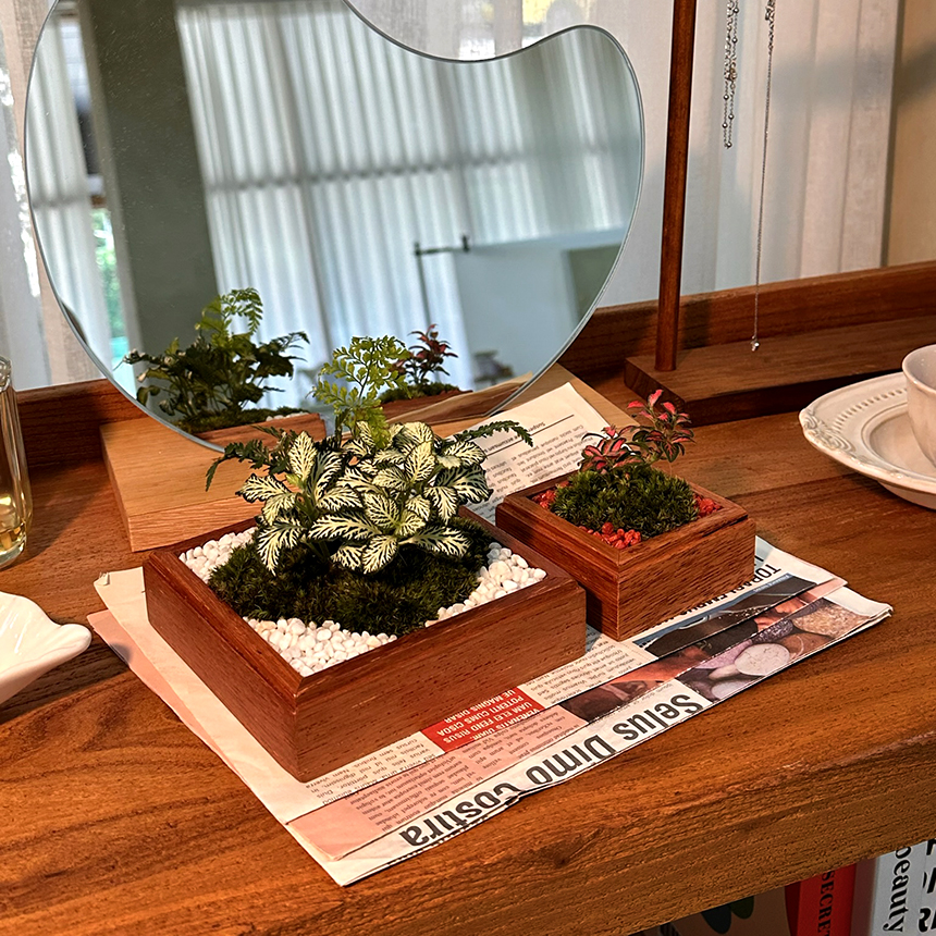 담초 큐브형 수공예 공기정화 테라리움 화분 반려 식물 플랜테리어 식물 기념일 축하 선물 이미지 2