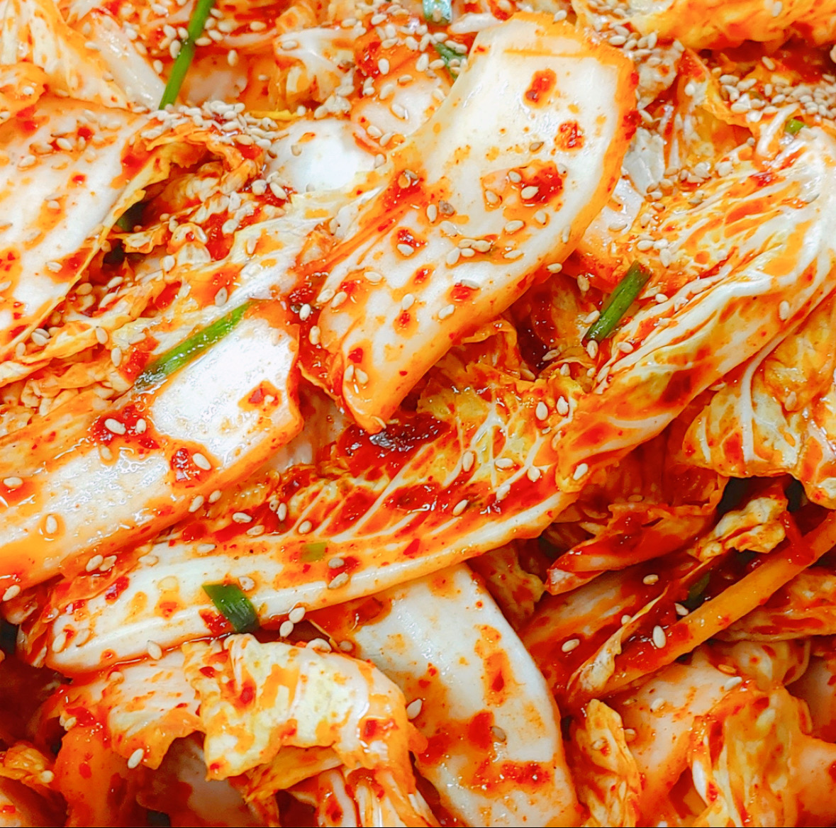 옥돌김치 배추 겉절이김치 2kg 칼국수 국산 양념 맛집 - 메인 이미지