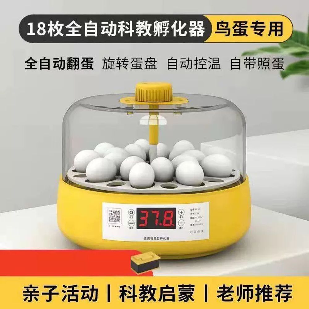 부화기 파충류 병아리 인큐베이터 계란 메추리 달걀 반자동 A. 33 개의 새 알 - 상세 이미지 4