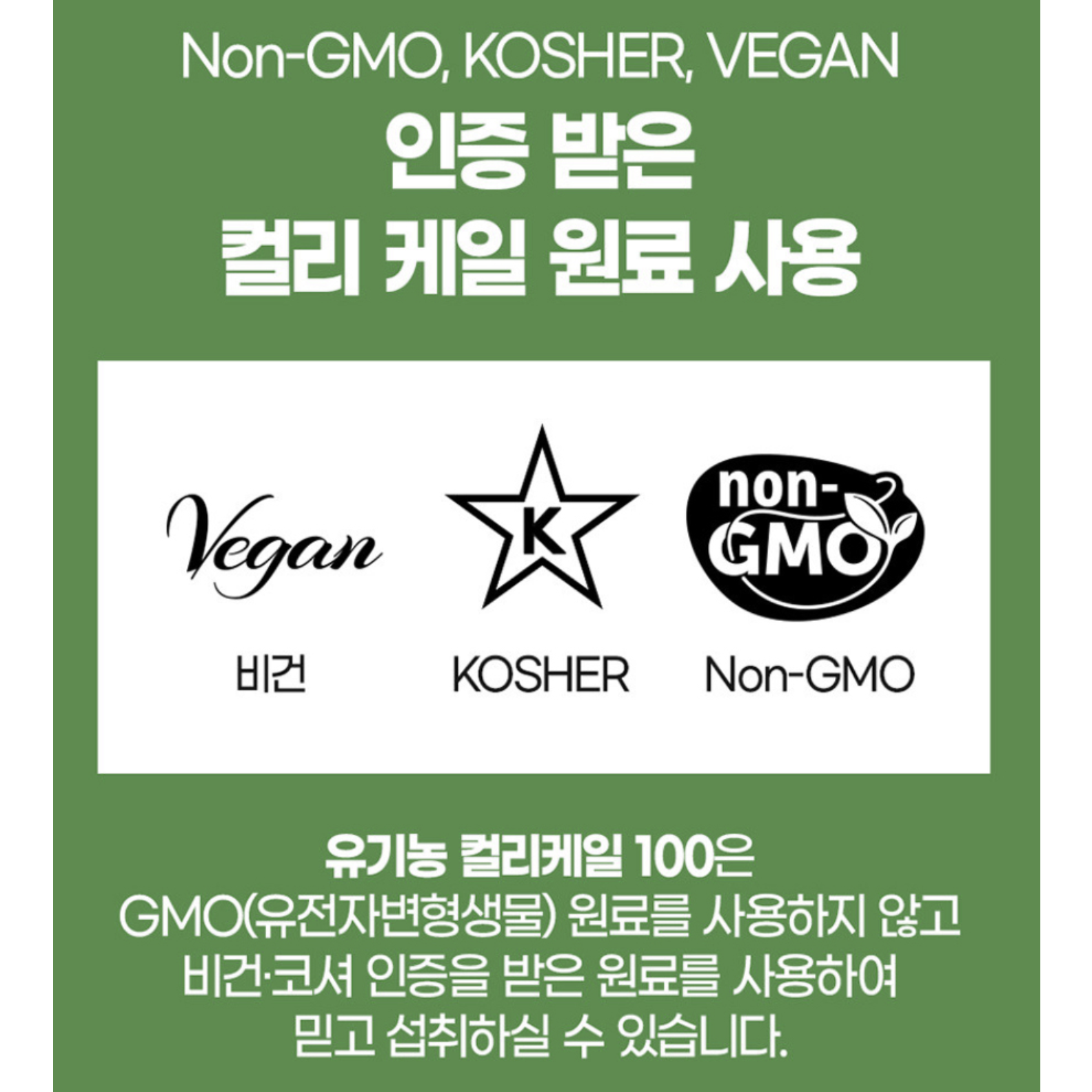 곱슬케일 유기농 동결건조 컬리케일 분말 15포 2통 폴란드 이미지 6