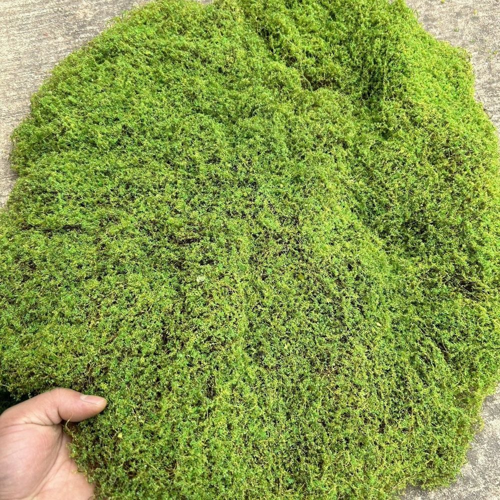 인조 이끼 모형 비단 원예 넝쿨 조화 가짜 매트 구공일엠 A. 약 4343cm 불규칙한 a - 상세 이미지 4