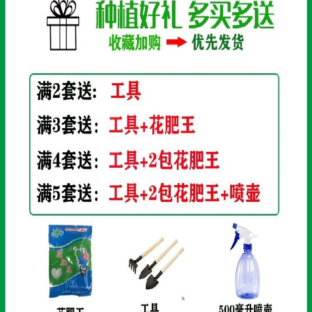 베란다 상추화분 옥상 A. 어두운 회색 유역 트레이 검은 색 랙, A. 다른, A. 엠 - 상세 이미지 3