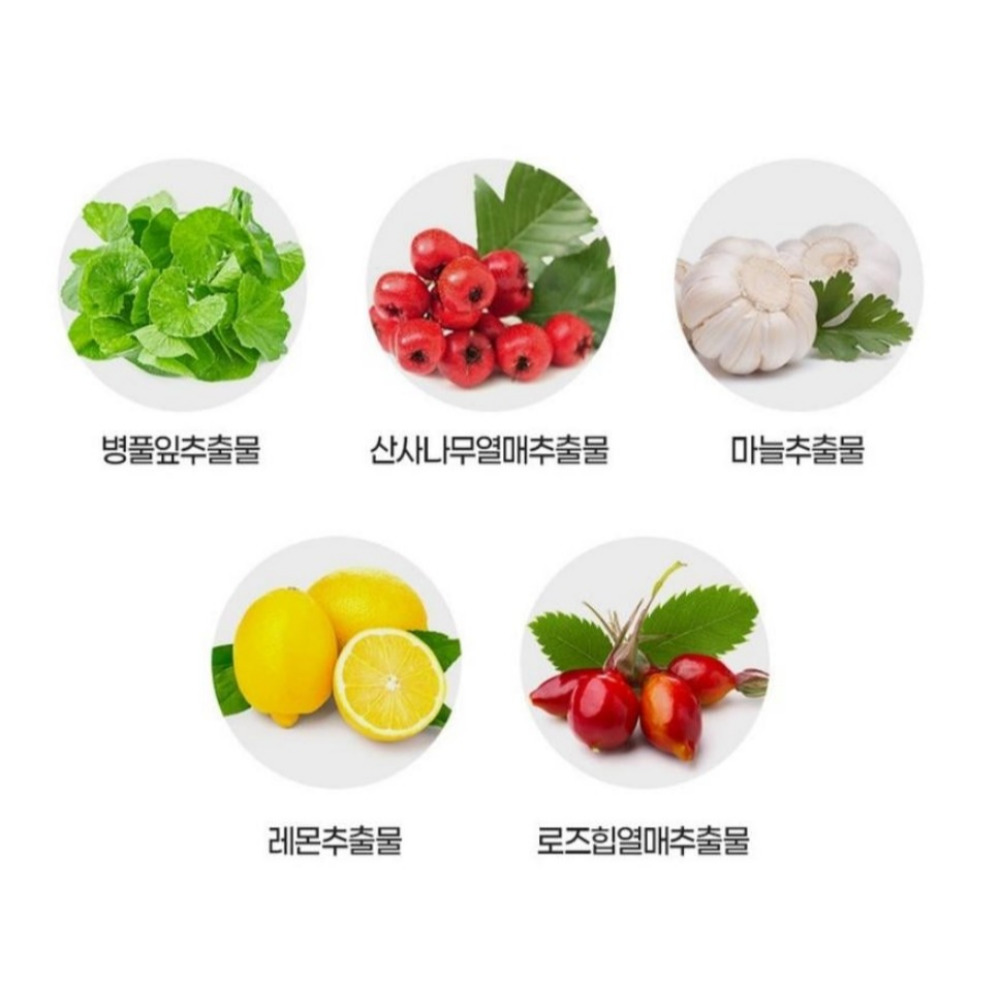 내츄럴플러스 징코 플러스150 징코페놀 폴리코젠 진코민 혈액 손발 은행엽 60캡슐, 2개 - 상세 이미지 5