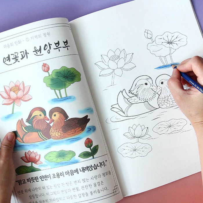 민화 어른 어르신 시니어 색칠 공부 컬러링북 노인 미술 한국 전통 도안 그림 성인 취미 - 상세 이미지 3