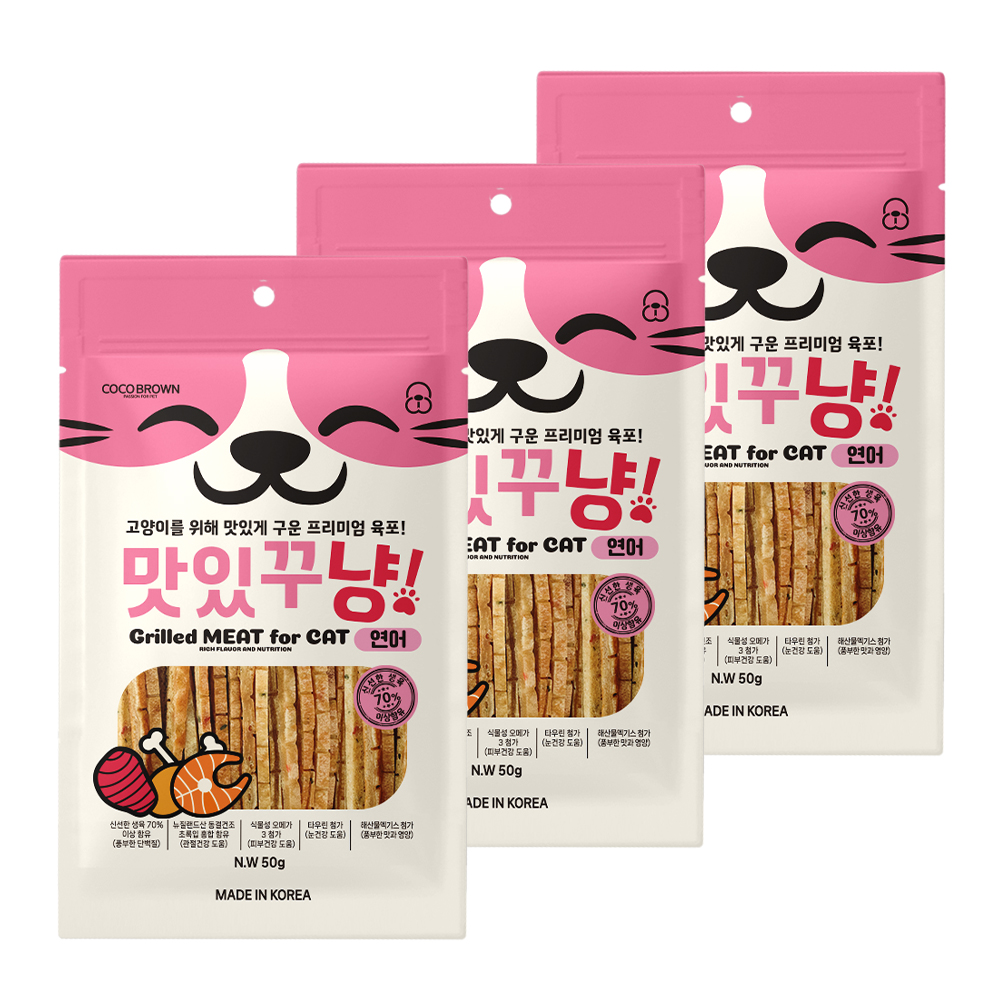 맛있꾸냥 고양이간식 육포 오메가3 심장 눈 건강 명태+연어, 50g, 3개 - 메인 이미지
