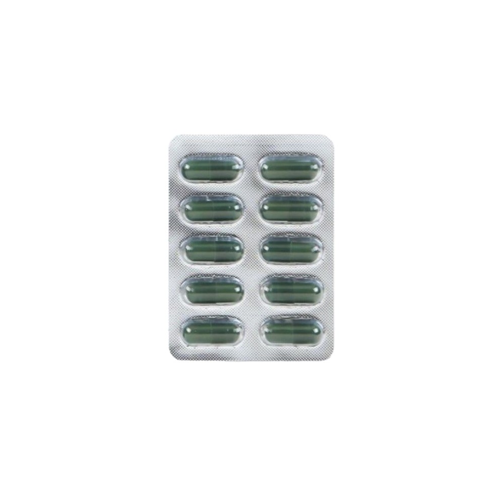 내츄럴플러스 징코 플러스150 징코페놀 폴리코젠 진코민 혈액 손발 은행엽 60캡슐, 2개 이미지 6