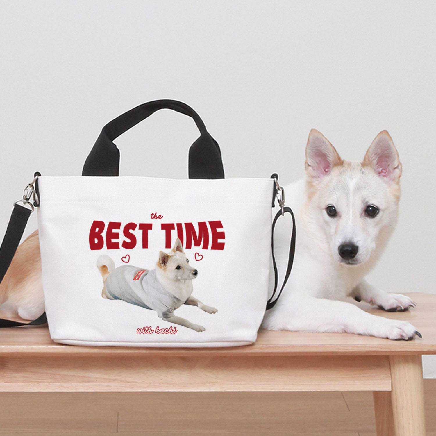 강아지 산책가방 반려동물 커스텀 크로스백 더오래 마이펫백