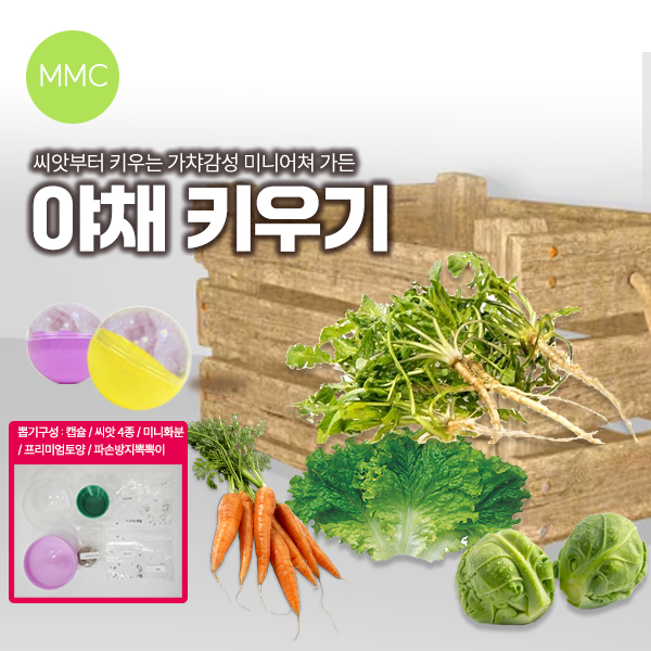 가챠 미니 채소 키우기 4종 식물 캡슐 토이 냉이 상추 방울양배추 미니당근 가정식물
