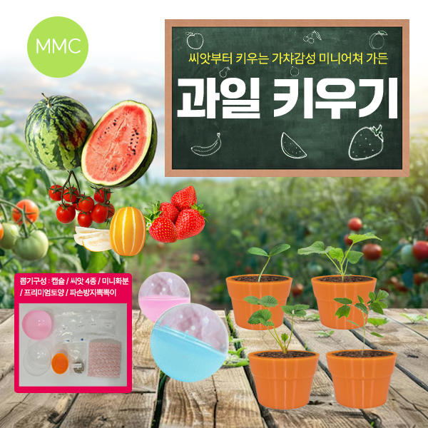 가챠 미니 과일 키우기 4종 식물 캡슐 토이 묘목 소나무 꿀허니수박 참외 꼬마토마토 딸기
