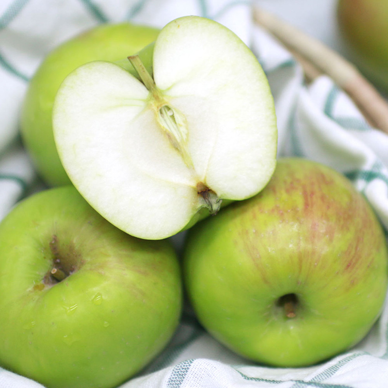 타임쿡 썸머킹 세척사과 1