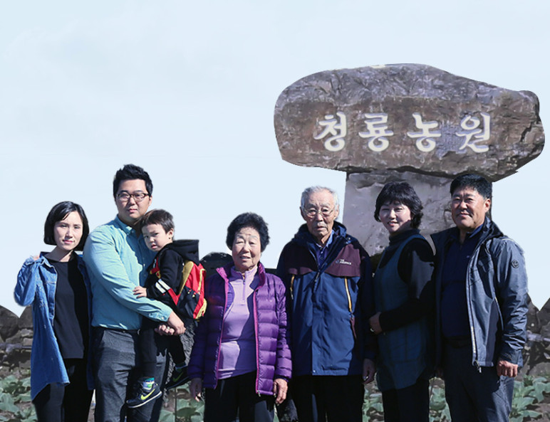 제주산 빨간 양배추브로콜리즙 1박스(75포) 사진 6
