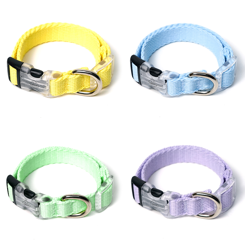 강아지 목줄 소형견 중형견 아띠지기 베이직 S