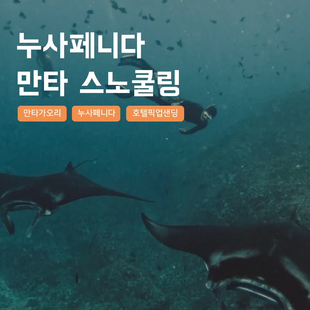 발리 누사페니다 스노쿨링 만타베이 투어 가격 추이 사마사마 발리 발리 누사페니다 스노쿨링 만타베이 투어 - 최저가 37,900원
