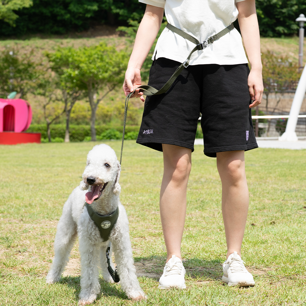 펫줄앤코 완충형 듀오리쉬 강아지 핸즈프리 멀티 산책 안전 리드줄(1.3M~2.5M) - 상세 이미지 4