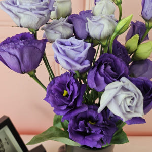 유스풀몰 리시안셔스 리시안 꽃 보라빛 반단 생화 택배 꽃다발 꽃배달 솔직 후기 | 실사용자 리뷰 분석 - 상품 이미지 2