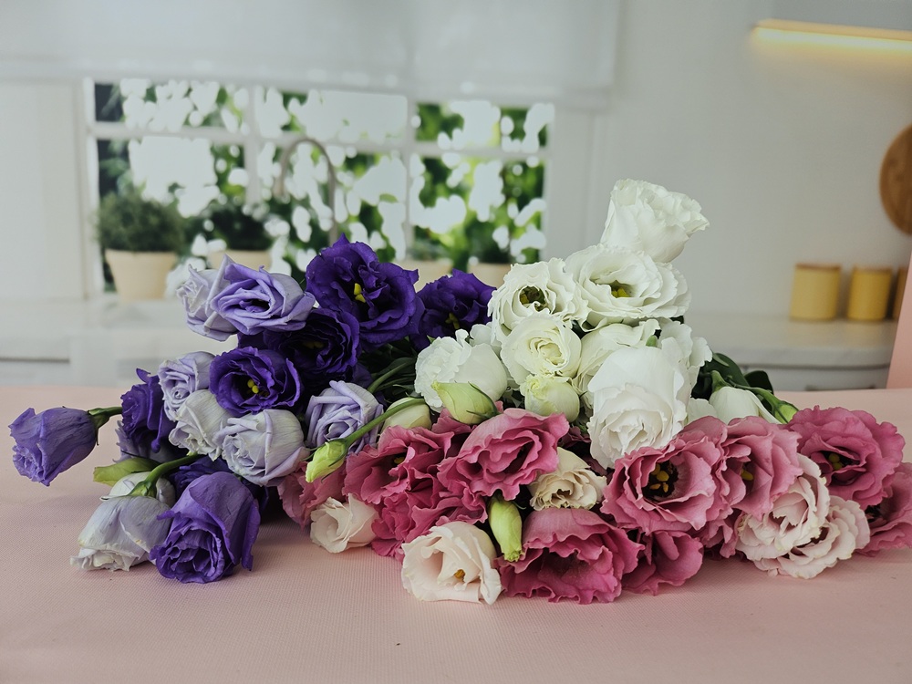 유스풀몰 리시안셔스 리시안 꽃 보라빛 반단 생화 택배 꽃다발 꽃배달 이미지 4