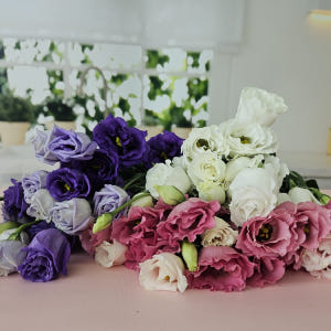 유스풀몰 리시안셔스 리시안 꽃 보라빛 반단 생화 택배 꽃다발 꽃배달 솔직 후기 | 실사용자 리뷰 분석 - 상품 이미지 4