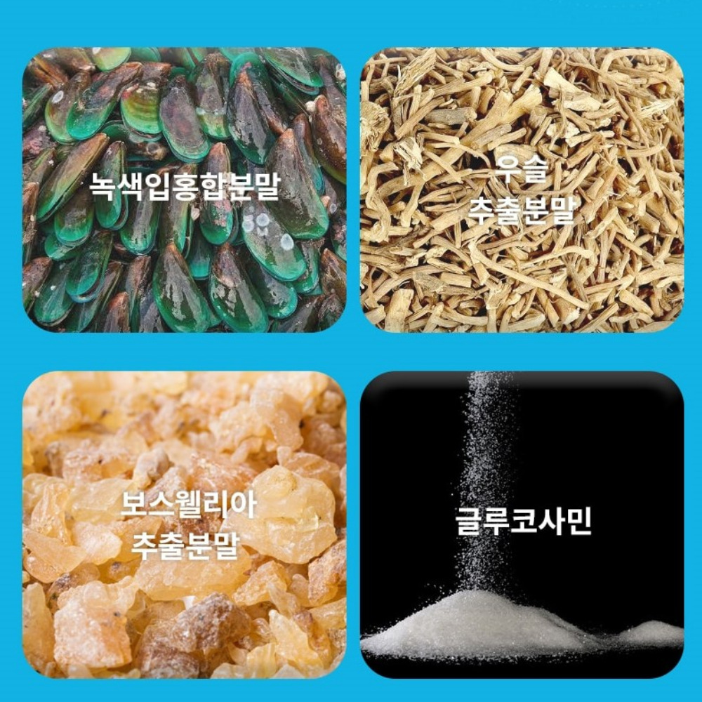 오스틴제약 리포좀 콘드로이친 파워 활력 콘드로이틴 관절 메가 약4개월 120정, 1개 이미지 6