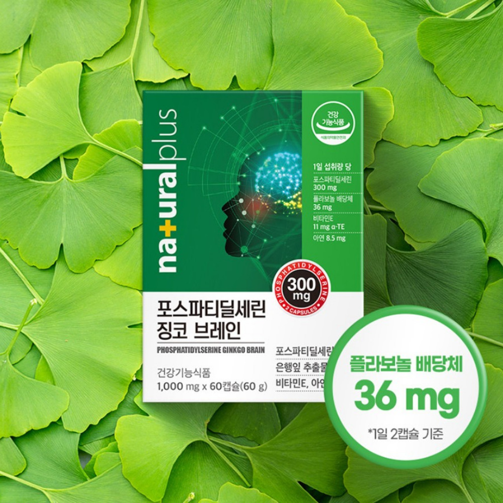 내츄럴플러스 포스파티딜세린 징코 브레인 캡슐 포스타틴딜세린 포스파디딜세린 60캡슐, 2개 - 상세 이미지 4