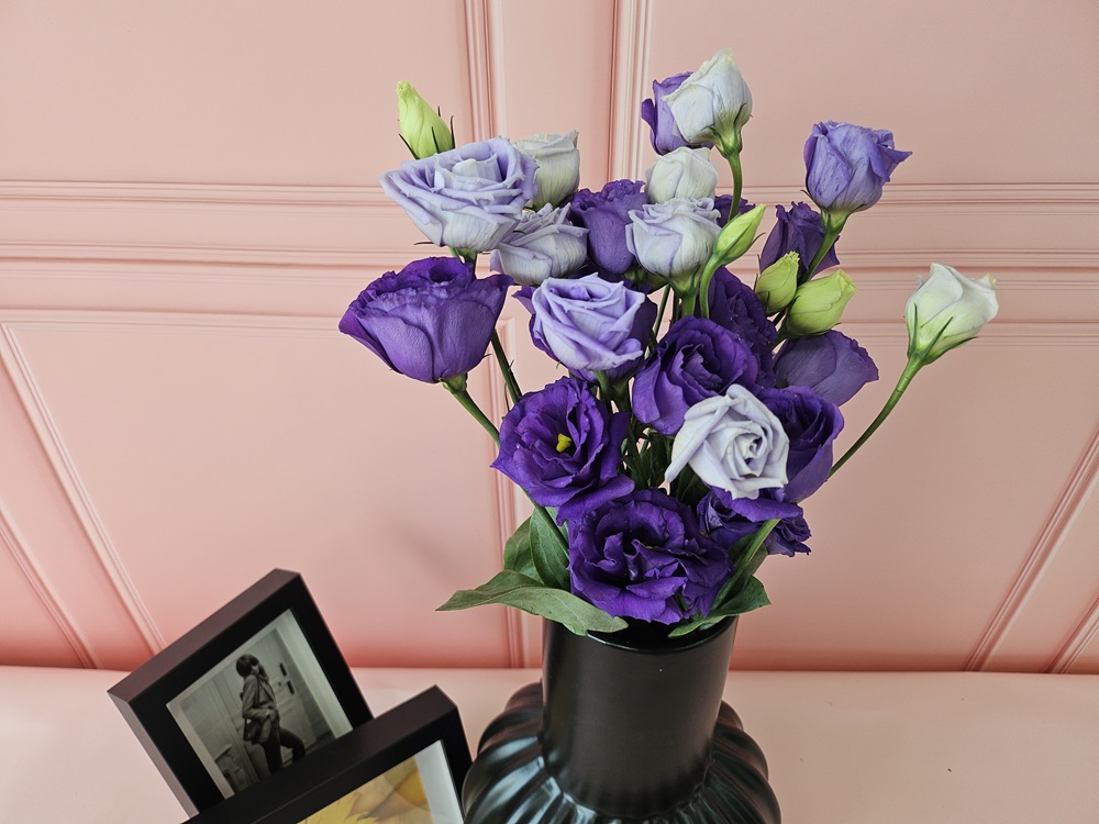 유스풀몰 리시안셔스 리시안 꽃 보라빛 반단 생화 택배 꽃다발 꽃배달 솔직 후기 | 실사용자 리뷰 분석 - 대표 이미지