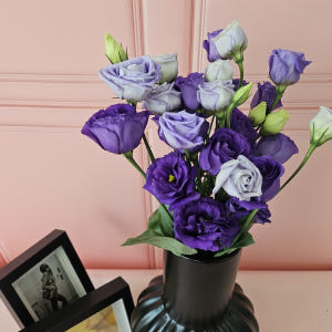 유스풀몰 리시안셔스 리시안 꽃 보라빛 반단 생화 택배 꽃다발 꽃배달 솔직 후기 | 실사용자 리뷰 분석 - 상품 이미지 1