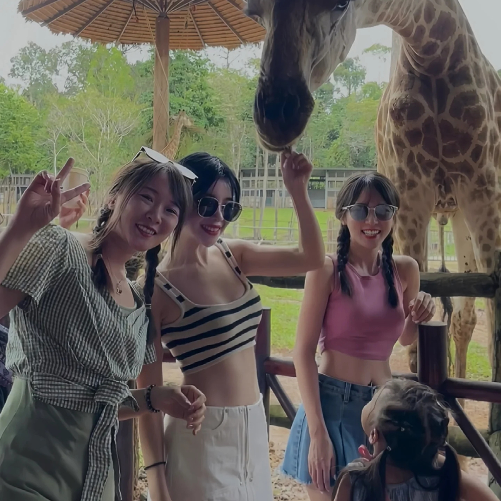 [QR+차량]푸꾸옥 북부 빈펄 올인원 렌트카 투어 사파리 빈원더스 그랜드월드 단독투어