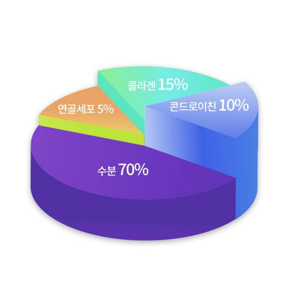 오스틴제약 리포좀 콘드로이친 파워 활력 콘드로이틴 관절 메가 약4개월 120정, 1개 이미지 7