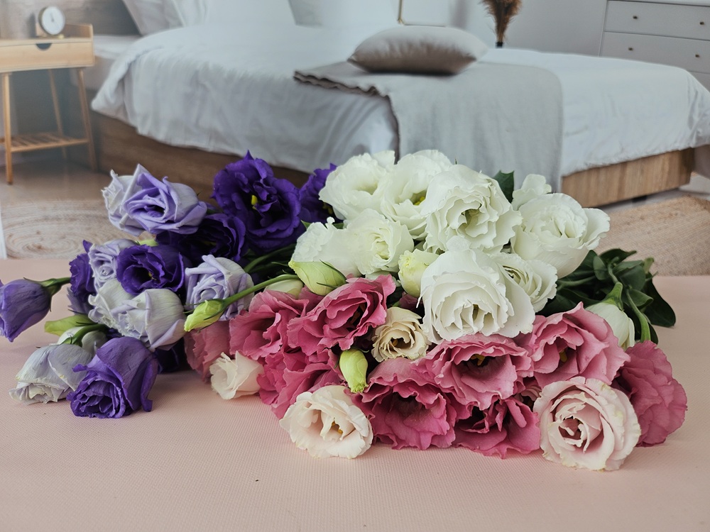 유스풀몰 리시안셔스 리시안 꽃 보라빛 반단 생화 택배 꽃다발 꽃배달 이미지 3