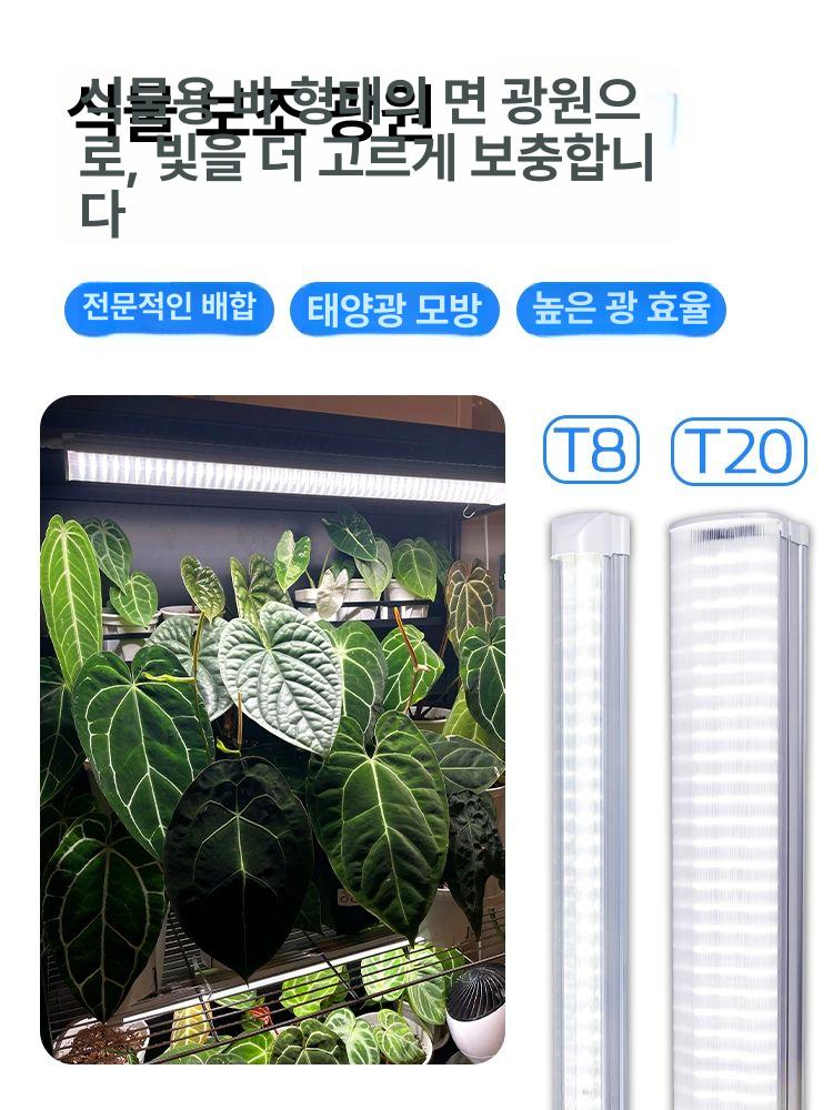 식물 성장용 LED 조명 led 레일 led등라인 T8 스펙트럼 열대식물 0.3m 7W - 상세 이미지 3