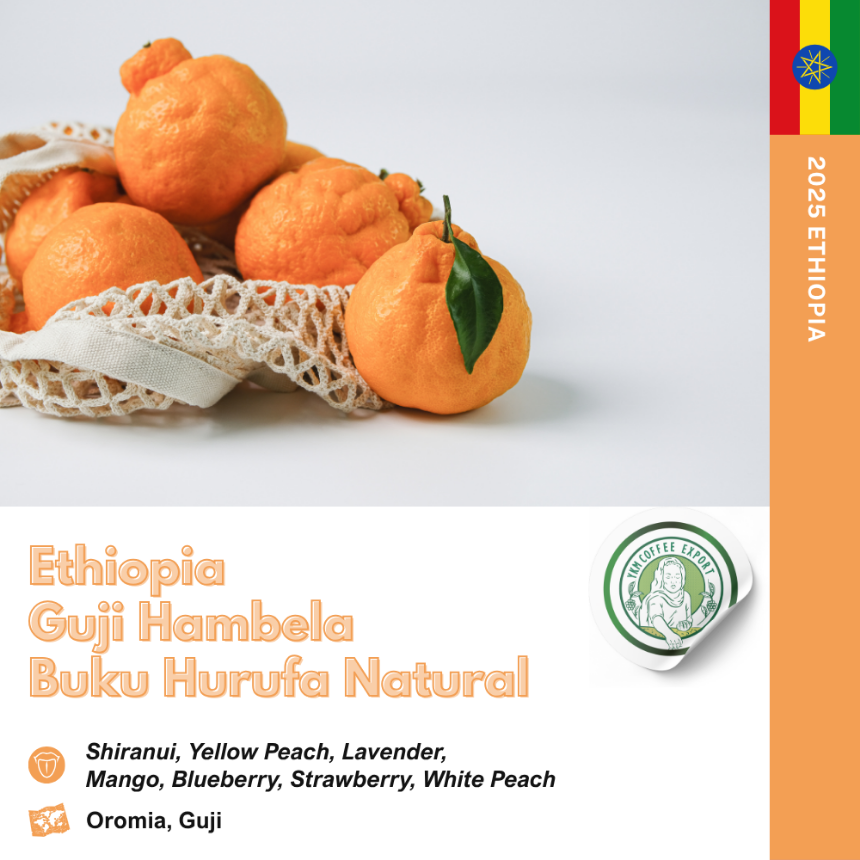 에티오피아 구지 함벨라 부쿠 후루파 내추럴