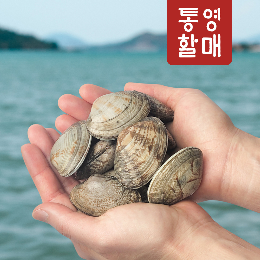 경남 통영 왕바지락 2kg 2개이상 구매시 칼국수200G 지급 개별포장 이미지 4