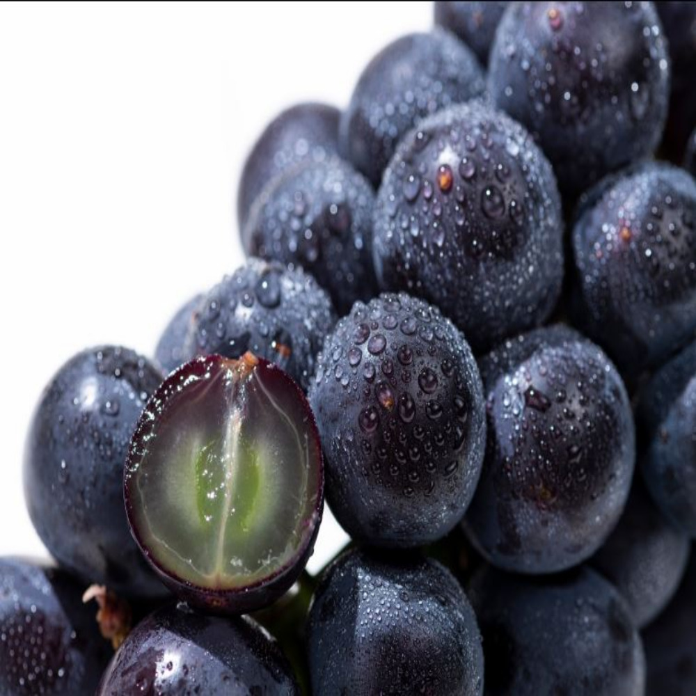 거봉 제철과일 충랑 캠벨 신선한 고당도 산지직송 포도 1kg