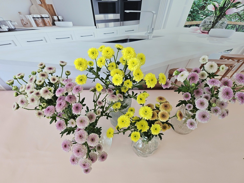 유스풀몰 온라인 꽃집 소국 생화택배 꽃배달싼곳 생화 꽃다발 이미지 3